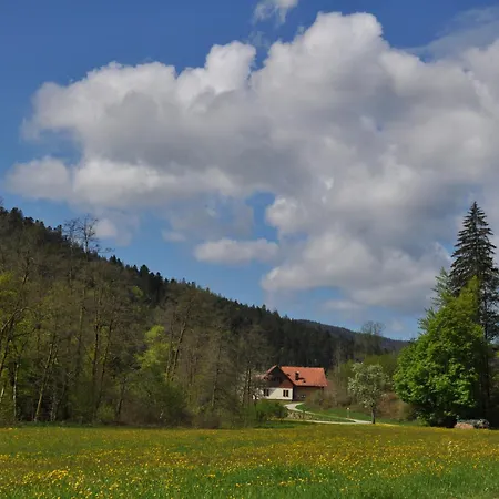 Schwarzwaldhotel Klumpp Szálloda 3*