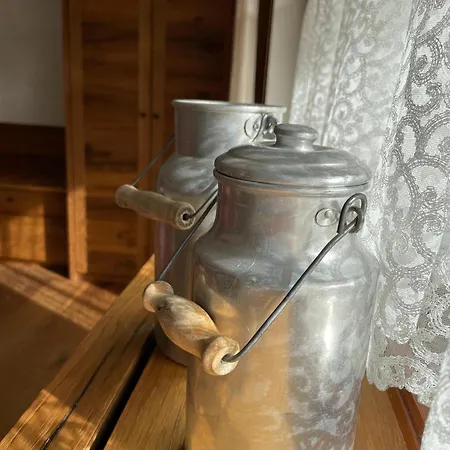 科鲁普黑森林酒店 Schonmunzach