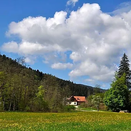 Ξενοδοχείο Schwarzwaldhotel Klumpp Schonmunzach