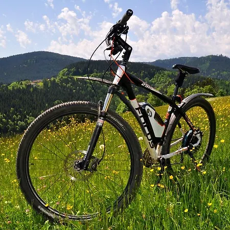 Szálloda Schwarzwaldhotel Klumpp