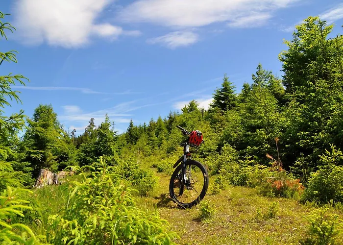 Schwarzwaldhotel Klumpp Schonmunzach
