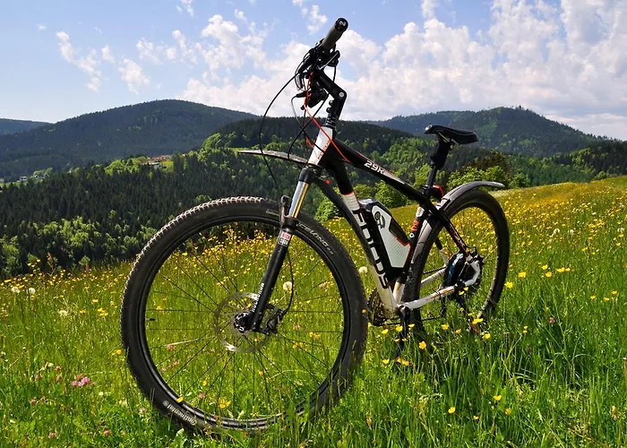 Hotel Schwarzwaldhotel Klumpp